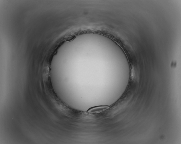 X0000101681492200807241333