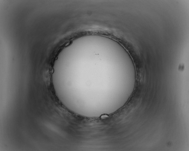 X0000101681493200807241333