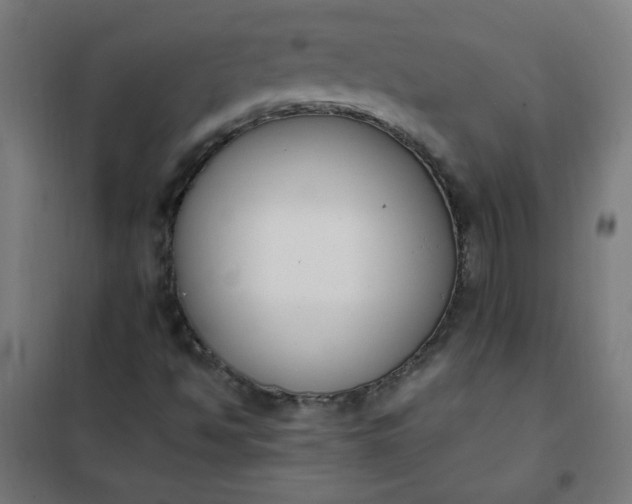 X0000101681494200807241333