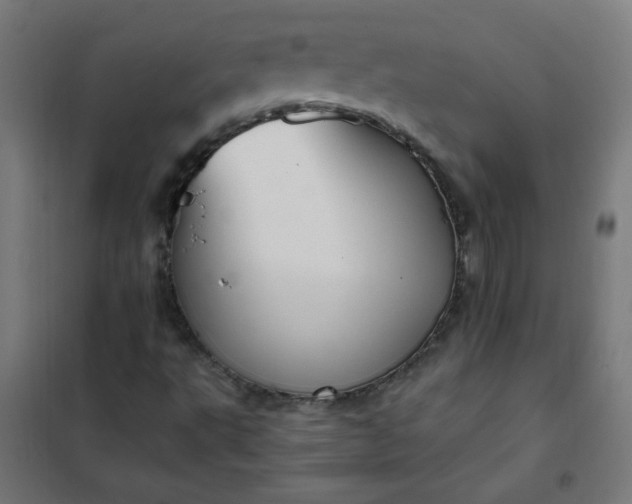 X0000101681495200807241333