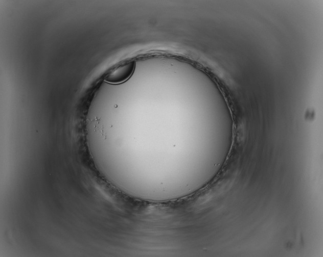 X0000101681496200807241333