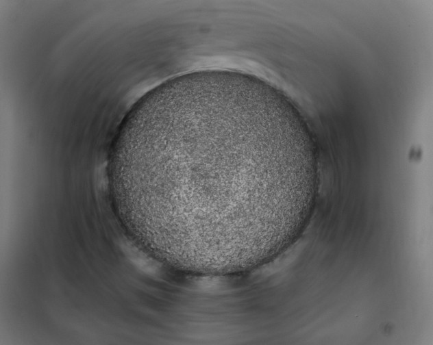 X0000101681497200807241333