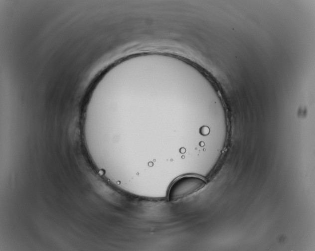 X0000101681498200807241333