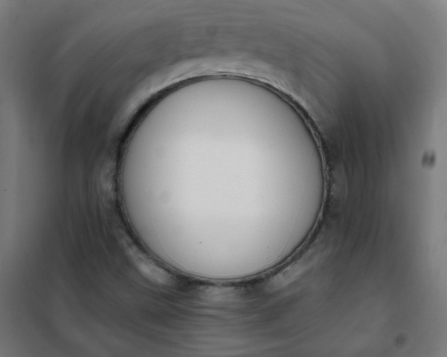 X0000101681499200807241333