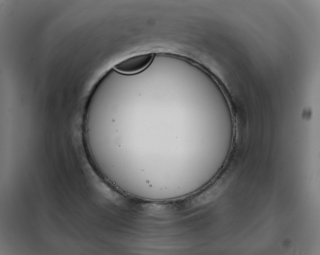 X0000101681500200807241333