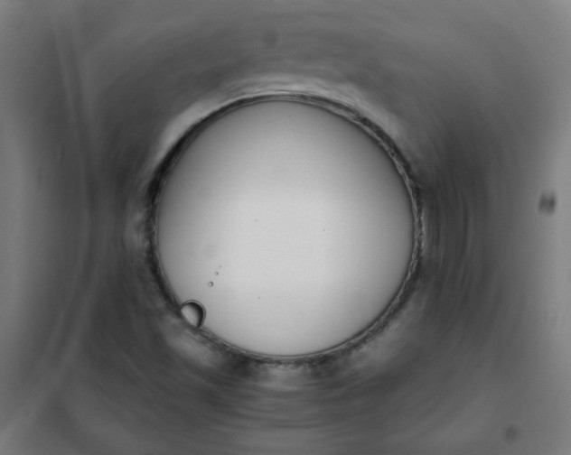 X0000101681501200807241334