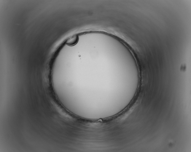 X0000101681502200807241334