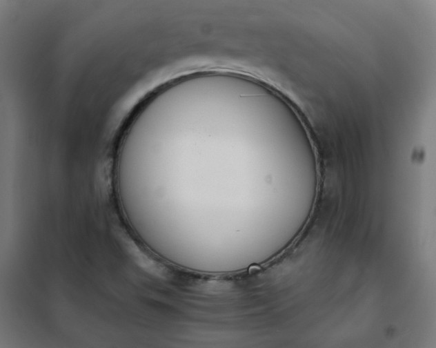 X0000101681503200807241334