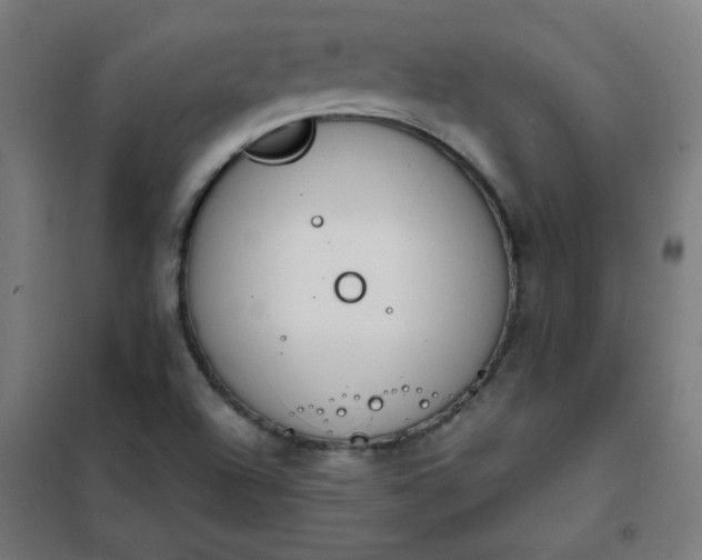 X0000101681504200807241334