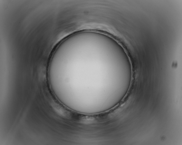 X0000101681505200807241334