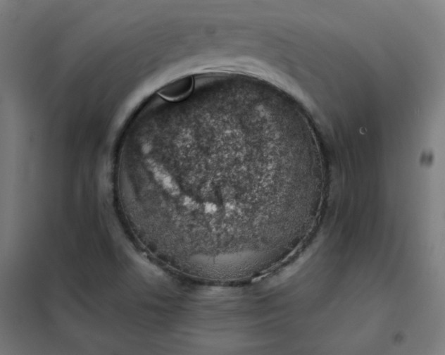 X0000101681506200807241334