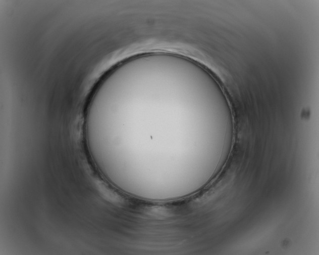 X0000101681507200807241334