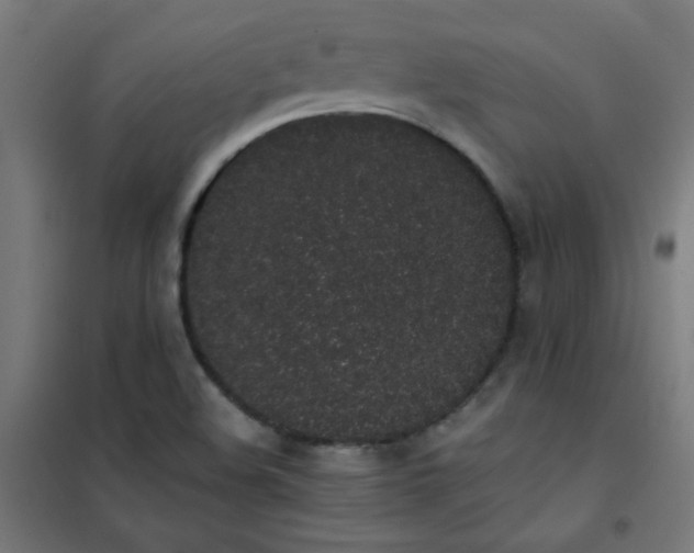 X0000101681508200807241334