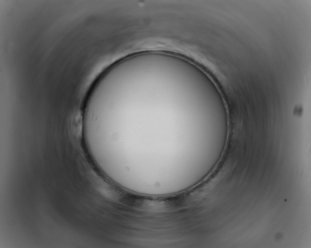 X0000101681509200807241334