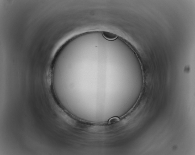 X0000101681510200807241334