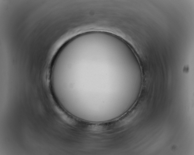 X0000101681511200807241334