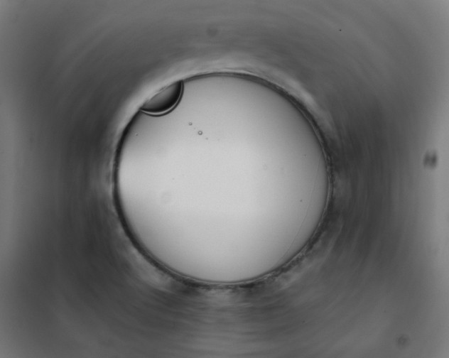 X0000101681512200807241334