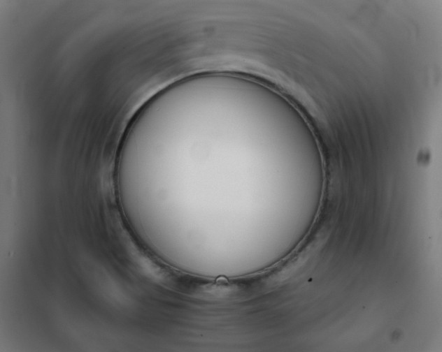 X0000101681513200807241334