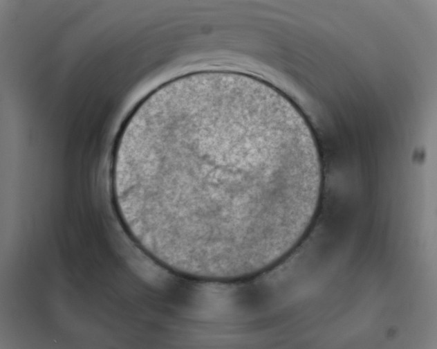 X0000101681514200807241334