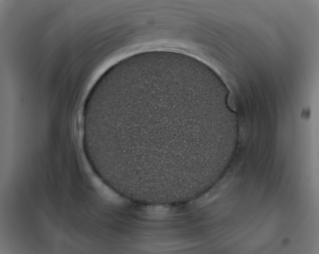 X0000101681515200807241334