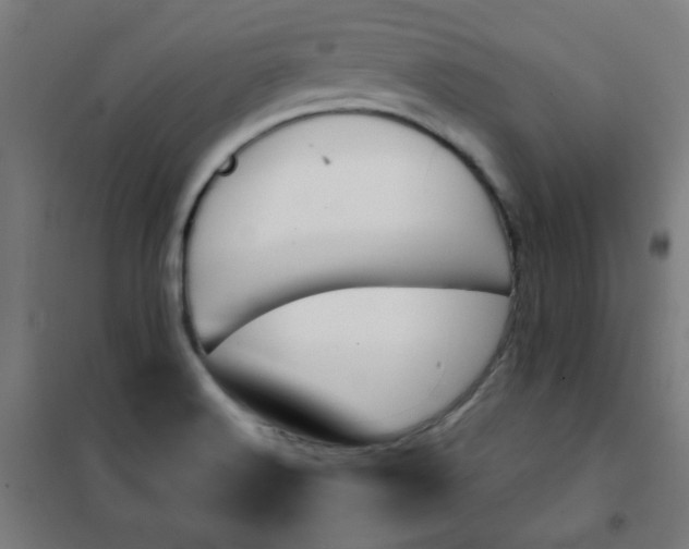 X0000101681516200807241334