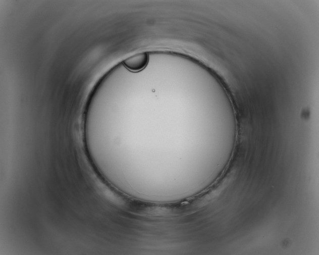 X0000101681517200807241334