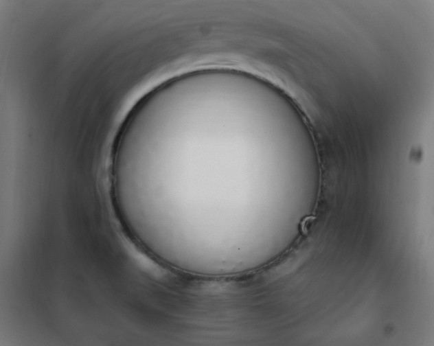 X0000101681519200807241334