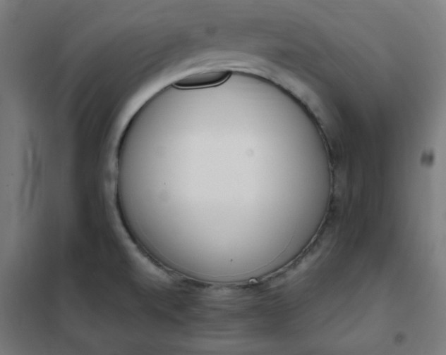 X0000101681520200807241334