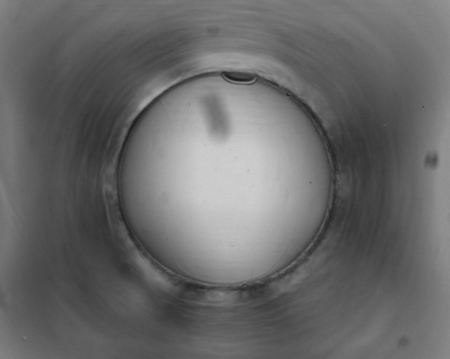 X0000101681521200807241334