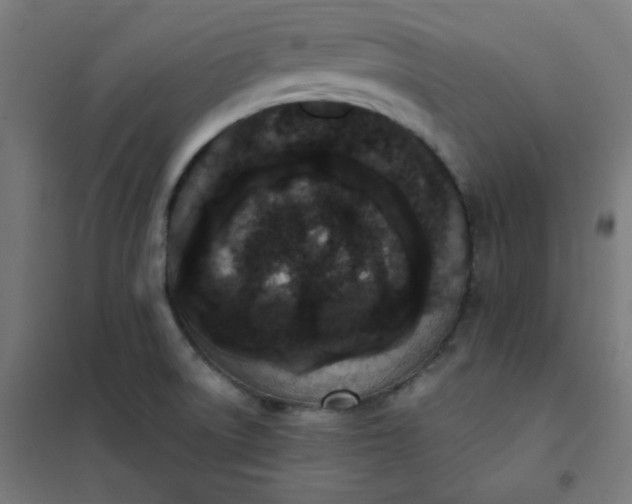 X0000101681522200807241334