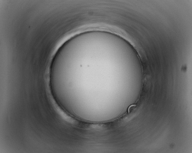 X0000101681523200807241334