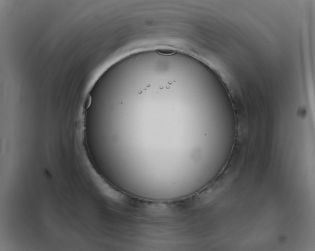 X0000101681524200807241334