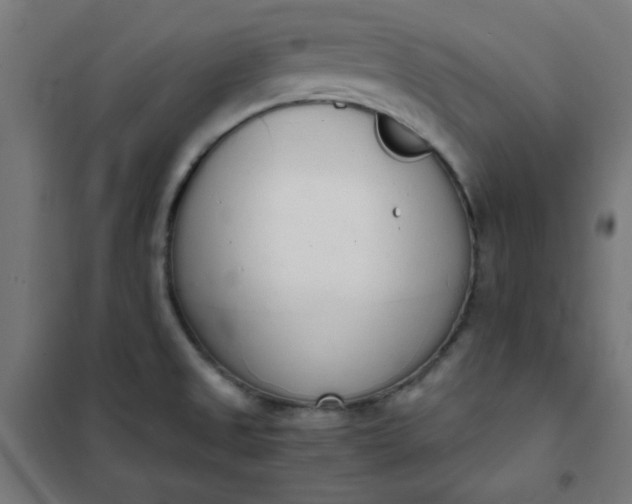 X0000101681525200807241334