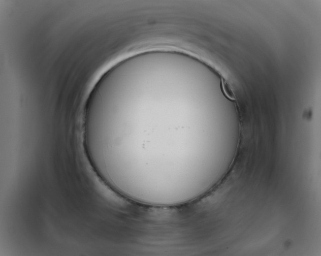 X0000101681526200807241334