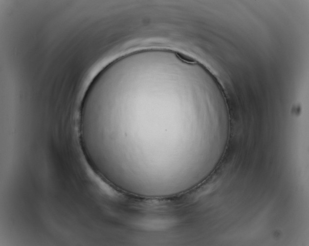 X0000101681527200807241334