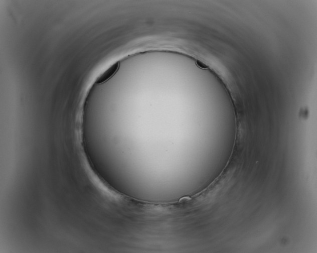 X0000101681528200807241334