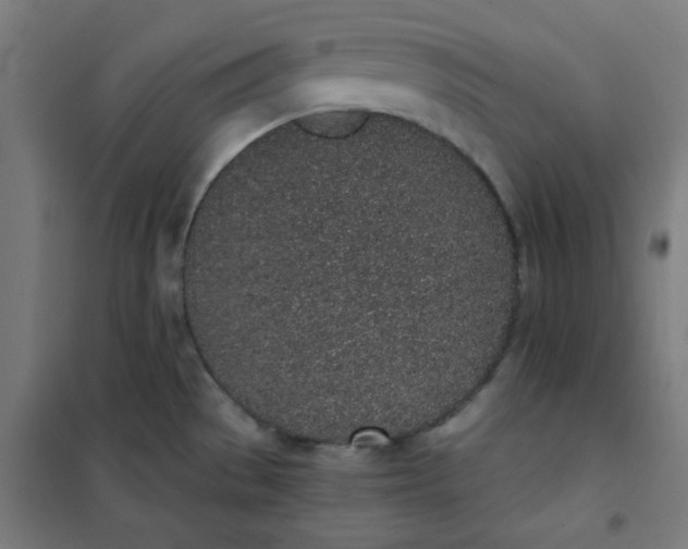 X0000101681529200807241334