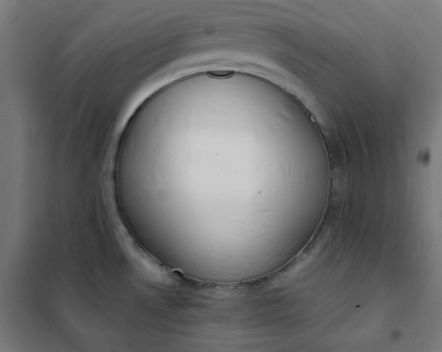 X0000101681530200807241334