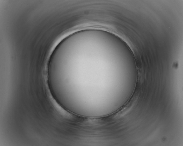 X0000101681531200807241334