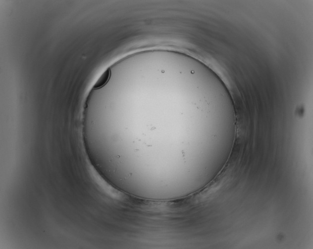 X0000101681532200807241334