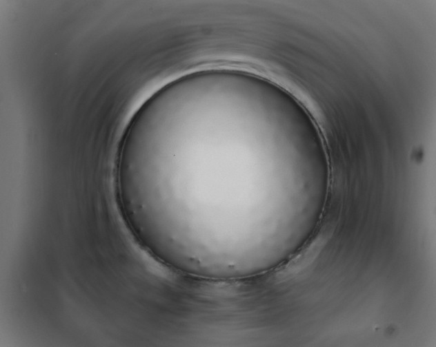 X0000101681533200807241334