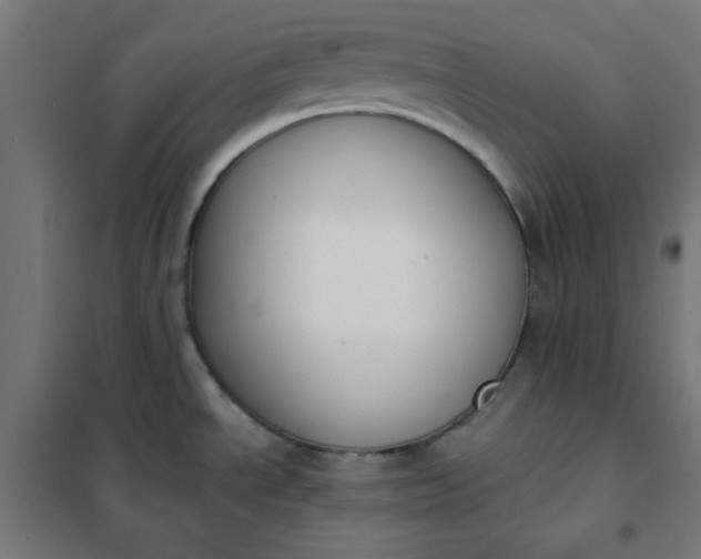 X0000101681534200807241334