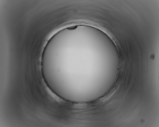 X0000101681535200807241334