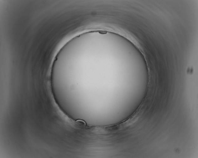 X0000101681536200807241334