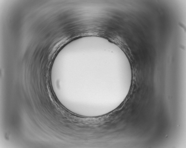 X0000101680001200807311529