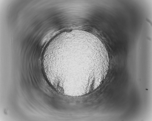 X0000101680002200807311529