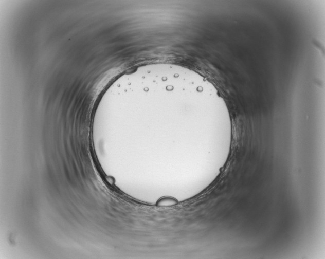 X0000101680003200807311529