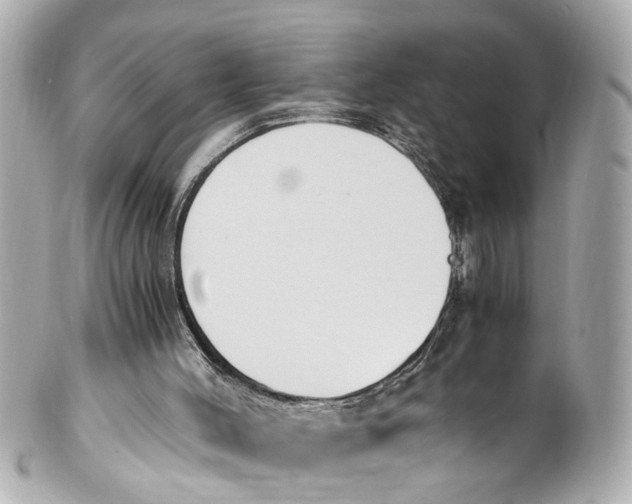 X0000101680004200807311529