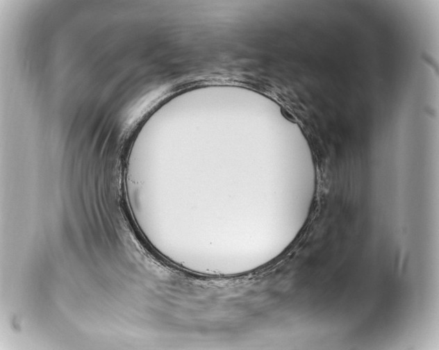 X0000101680005200807311529