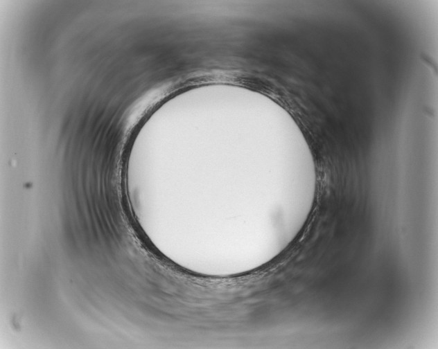 X0000101680006200807311529